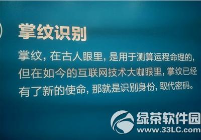 支付宝掌纹支付怎么用 支付宝掌纹支付使用教程