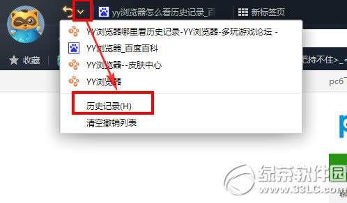 yy浏览器怎么看历史记录?yy浏览器查看历史记录教程