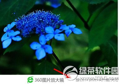 360图片放大镜怎么开?360浏览器开启图片放大镜教程