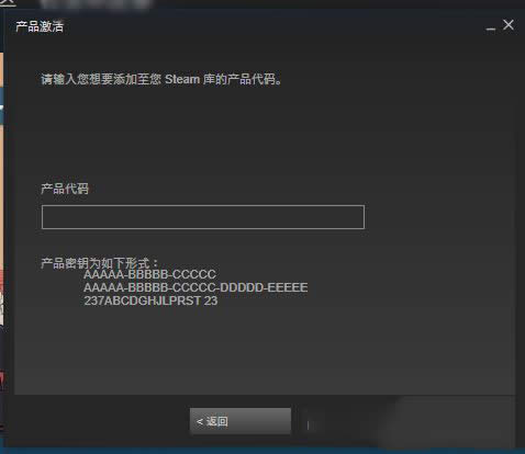 steam keyã