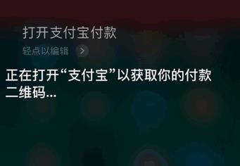 iPhone支付宝语音付款是真的吗_苹果支付宝语音付款方法