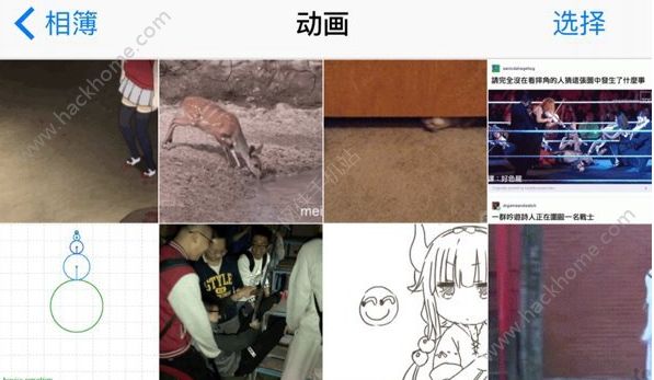 iOS11 Beta1动画相册怎么玩_iOS11 Beta1怎么保存gif动图