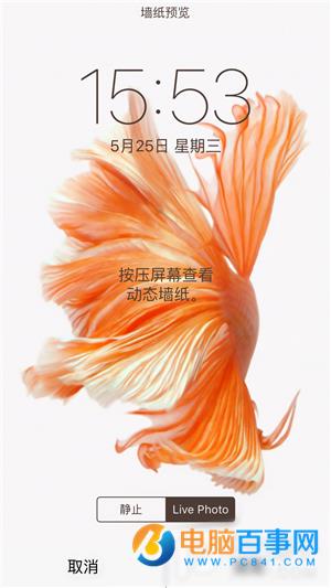 iPhone6s动态壁纸不动怎么办_iPhone6s动态壁纸设置
