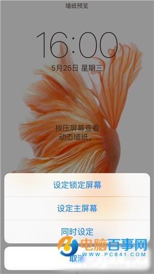 iPhone6s动态壁纸不动怎么办_iPhone6s动态壁纸设置