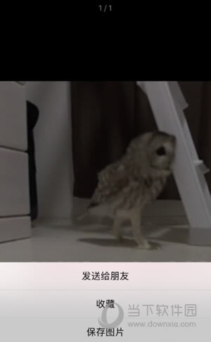 ȱGIF