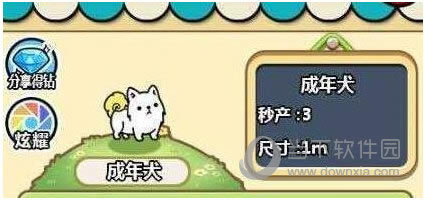 微信萌犬变变变成年犬