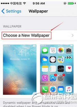 iphone se壁纸怎么设置 苹果iphone se设置壁纸图文教程