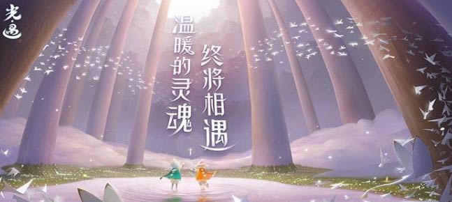 光遇雨林神殿怎么上去 具体方法