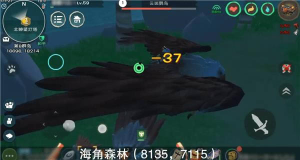 创造与魔法云斑鹦鸟位置 创造与魔法云斑鹦鸟的位置分享