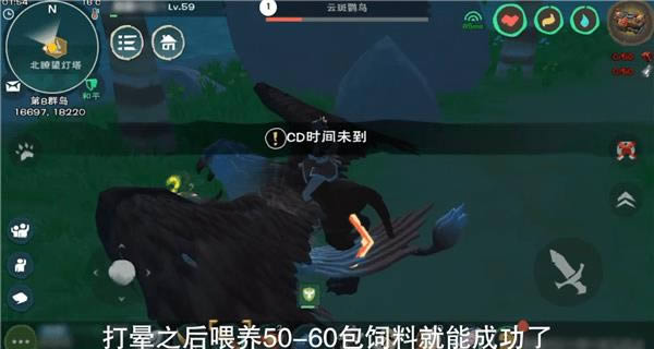 创造与魔法云斑鹦鸟位置 创造与魔法云斑鹦鸟的位置分享