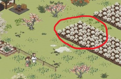 江南百景图天然棉怎么得到 探险棉花获得方法介绍