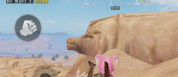 和平精英网红打卡地在哪里_和平精英网红猪地图位置介绍