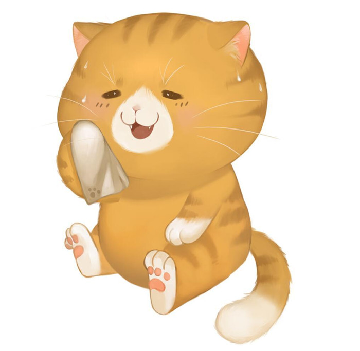 灵猫传橘猫玩法攻略_灵猫传橘猫怎么玩