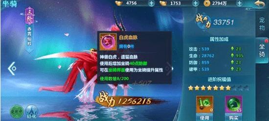 坐骑