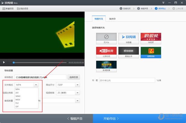 选择想要保存导出的文件格式