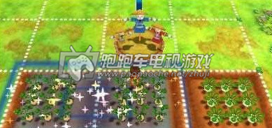 牧场物语3个村庄的珍贵朋友首年开荒攻略