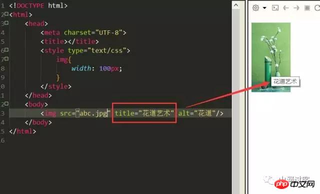 img属性中alt和title的区别图文详解