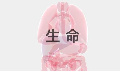 生命LIFE怎么怀孕_生命LIFE怀孕方法介绍