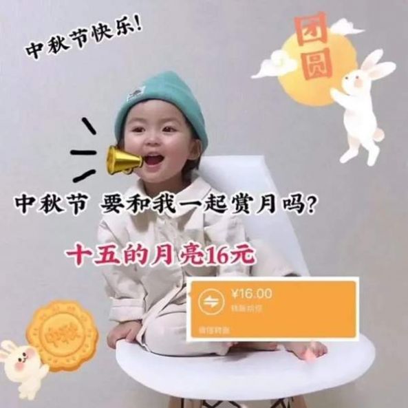 微信十五的月亮十六元是什么梗_微信十五的月亮十六元什么意思