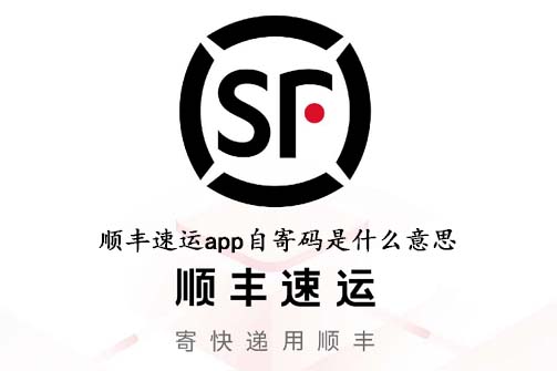 顺丰速运自寄码是什么_顺丰速运自寄码含义介绍