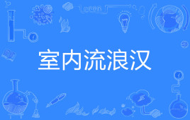 抖音室内流浪汉是什么意思_抖音室内流浪汉含义分析