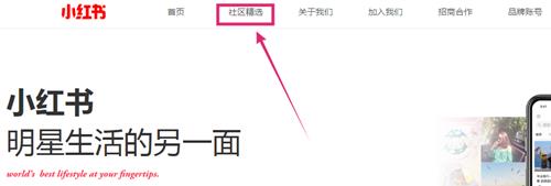 小红书电脑版怎么搜索_小红书电脑版搜索方法