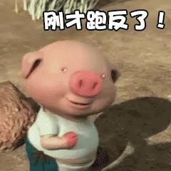 微信小猪跑步动态图哪里找_微信一直在奔跑的小猪GIF图分享