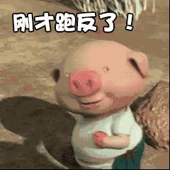 微信小猪跑步动态图哪里找_微信一直在奔跑的小猪GIF图分享