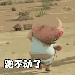 微信小猪跑步动态图哪里找_微信一直在奔跑的小猪GIF图分享