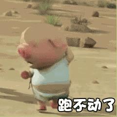 微信小猪跑步动态图哪里找_微信一直在奔跑的小猪GIF图分享