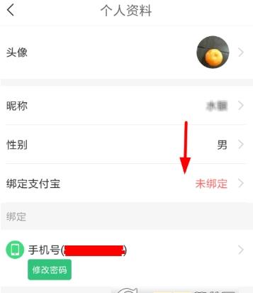 中青看点怎么绑定支付宝_中青看点绑定支付宝流程