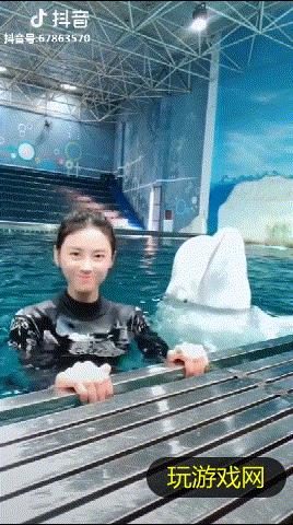 抖音海豚女神是谁_抖音海豚女神个人资料分享