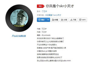你真是个skr小天才是什么意思_你真是个skr小天才歌词详解