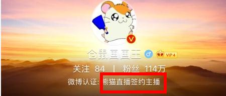仓鼠直播间号多少_仓鼠直播间号和直播平台是什么