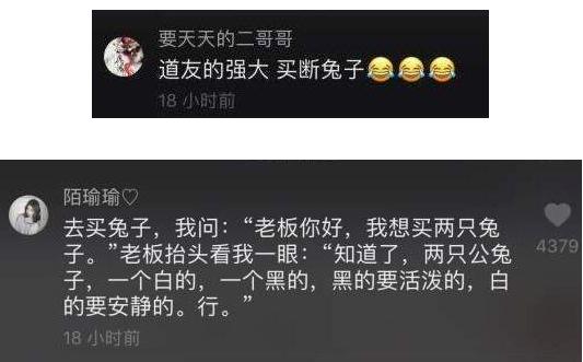 抖音兔子一黑一白是什么_抖音兔子一黑一白是什么梗