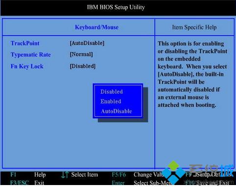 ThinkpadʼǱװϵͳʧν5