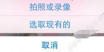 ͷα ͷָ