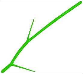 IllustratorָϣƯõ廨